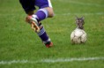 /album/fotogaleria-imagenes-divertidas/gran-chiste-sobre-mundial-de-futbol-jpg/